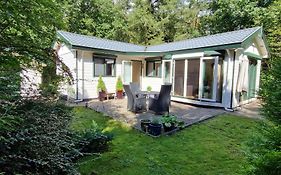 Boshuis De Roerdomp